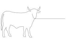 Simple One-Line Cow Sketch: Build Animal Drawing Skills with Minimal Tools
