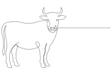 One-Line Cow Drawing Made Easy: Great for Shape Recognition and Art Practice