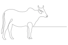 Cow Drawing in One Line: Learn to Sketch Big Animal Shapes Easily