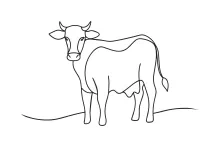 One-Line Cow Drawing Tutorial: Learn Animal Shape with Simple Farm Practice