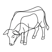 Simple Cow Drawing in One Line: Friendly Farm Animal Sketching for Beginners