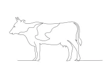 Easy Cow Sketch in One Line: Perfect for Daily Drawing and Farm Animal Practice
