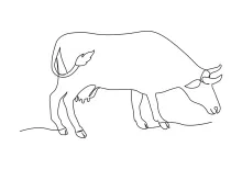 One-Line Cow Drawing Made Easy: Simple Farm Art for Beginners