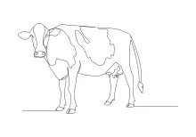 Draw a Cow in One Line: Easy and Friendly Farm Animal Practice for Kids and Beginners