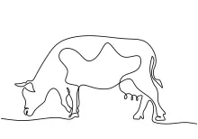 Quick One-Line Cow Drawing: Learn Basic Animal Shapes Easily