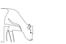 Cow One-Line Drawing for Practice: Great for Learning Animal Shapes and Structure