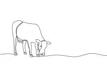 One-Line Cow Drawing for Young Artists: Learn Farm Animal Shapes Quickly
