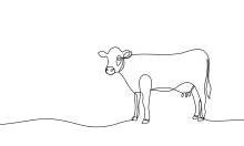 Cow One-Line Drawing Guide: Easy Farm Sketching with Simple Lines