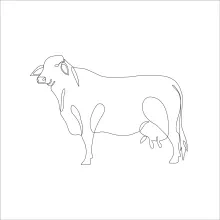One-Line Cow Drawing for Beginners: Easy Art Practice with Farm Animal Shapes
