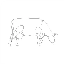 One-Line Cow Drawing: Practice Animal Shapes with a Clear and Simple Method