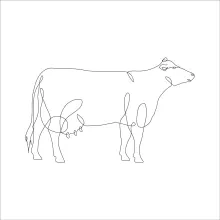 Draw a Cow Using One Line: Learn Easy Animal Drawing with Farm Themes