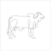 Easy Cow Drawing with One Line: Fun Farm Art for All Skill Levels