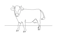 One-Line Cow Drawing Practice: Build Art Skills with a Classic Farm Animal