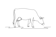 Easy One-Line Cow Drawing: Practice Farm Animal Shapes with Minimal Art Tools