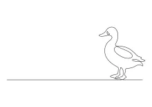 Draw a Duck in One Line: Practice Animal Outlines with a Familiar Bird
