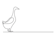Fun One-Line Duck Drawing: Practice Bird Shapes with Simple Sketching Techniques