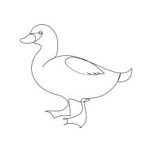 Easy One-Line Duck Sketching: Great for Learning Bird Shapes with Confidence