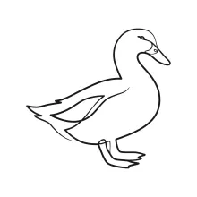 One-Line Duck Drawing for Beginners: Create Bird Art in a Simple and Fun Way