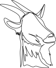 Easy One-Line Goat Drawing: Learn Horned Animal Shapes in a Simple Way
