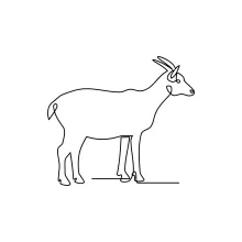 Beginner Goat One-Line Drawing: Practice Animal Shapes with a Simple Drawing Method