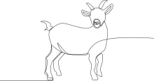 Learn to Draw a Goat in One Line: Simple Practice for Animal Drawing Basics
