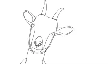 One-Line Goat Drawing for Beginners: Sketch Farm Animals with Confidence