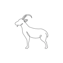 Easy Goat Drawing in One Line: Learn Animal Forms with Simple Farm Art