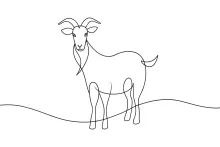 One-Line Goat Drawing: Learn Animal Features with a Single Continuous Line