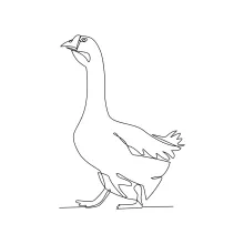 Simple One-Line Goose Drawing: Practice Bird Shapes with Easy and Clear Lines
