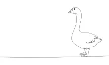 Simple Goose Drawing in One Line: Easy Practice for Long-Necked Bird Shapes