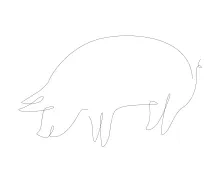 One-Line Pig Drawing: Practice Simple Animal Shapes with Farm Theme
