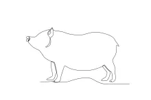 One-Line Pig Drawing for Daily Practice: Farm Animal Sketching for Beginners