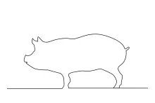 Quick One-Line Pig Drawing: Practice Drawing Round Animal Forms with Ease