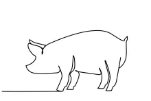 One-Line Pig Drawing Guide: Learn Simple Farm Animal Forms with Fun and Ease