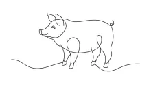 One-Line Pig Drawing for Simple Farm Animal Sketching