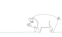 Easy Pig Drawing in One Line: Great for Learning Farm Animal Forms