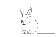 Simple Rabbit Drawing in One Line: Learn to Draw Popular Forest Animals
