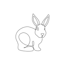 One-Line Rabbit Art for Beginners: Practice Animal Shapes Using Simple Drawing Steps