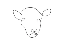 One-Line Sheep Drawing for Kids and Beginners: Explore Animal Art the Easy Way
