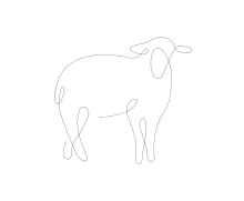 One-Line Sheep Drawing: Build Drawing Skills with Easy Animal Forms