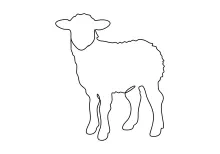Simple One-Line Sheep Drawing: Learn to Sketch Round, Fluffy Animals
