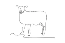 Easy Sheep Drawing with One Line: Develop Focus with Simple Animal Shapes