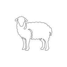 Drawing a Sheep with One Line: An Easy Way to Learn Animal Shapes