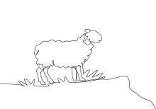 One-Line Sheep Drawing: Learn to Simplify Round Shapes Easily