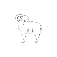 Easy Sheep One-Line Drawing: A Fun Way to Practice Round Animal Forms