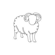 Simple One-Line Sheep Drawing: A Gentle Animal for Beginners to Practice With