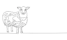 One-Line Sheep Drawing: Learn to Sketch Woolly Animals with Simplicity