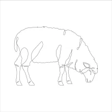 Simple Sheep Drawing in One Line: Practice Farm Animal Shapes with Clarity