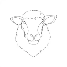 Easy Sheep Drawing with One Line: Practice Calm Animal Art in a Simple Way