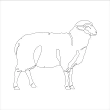 Simple One-Line Sheep Drawing: Practice Animal Outlines with Minimal Art Tools